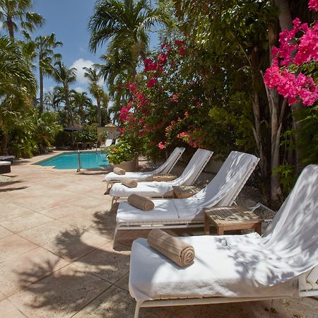 Paradera Park Aruba Oranjestad Dış mekan fotoğraf
