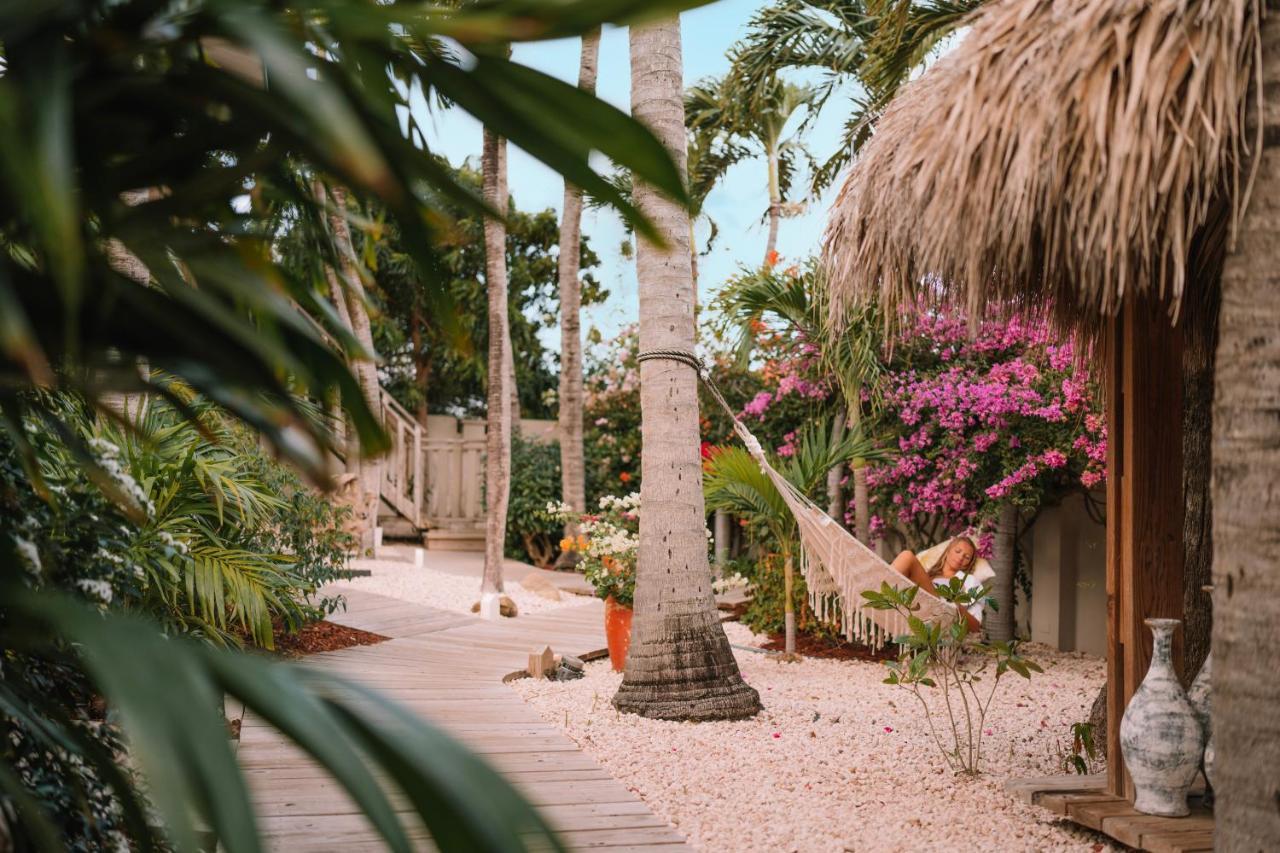 Paradera Park Aruba Oranjestad Dış mekan fotoğraf