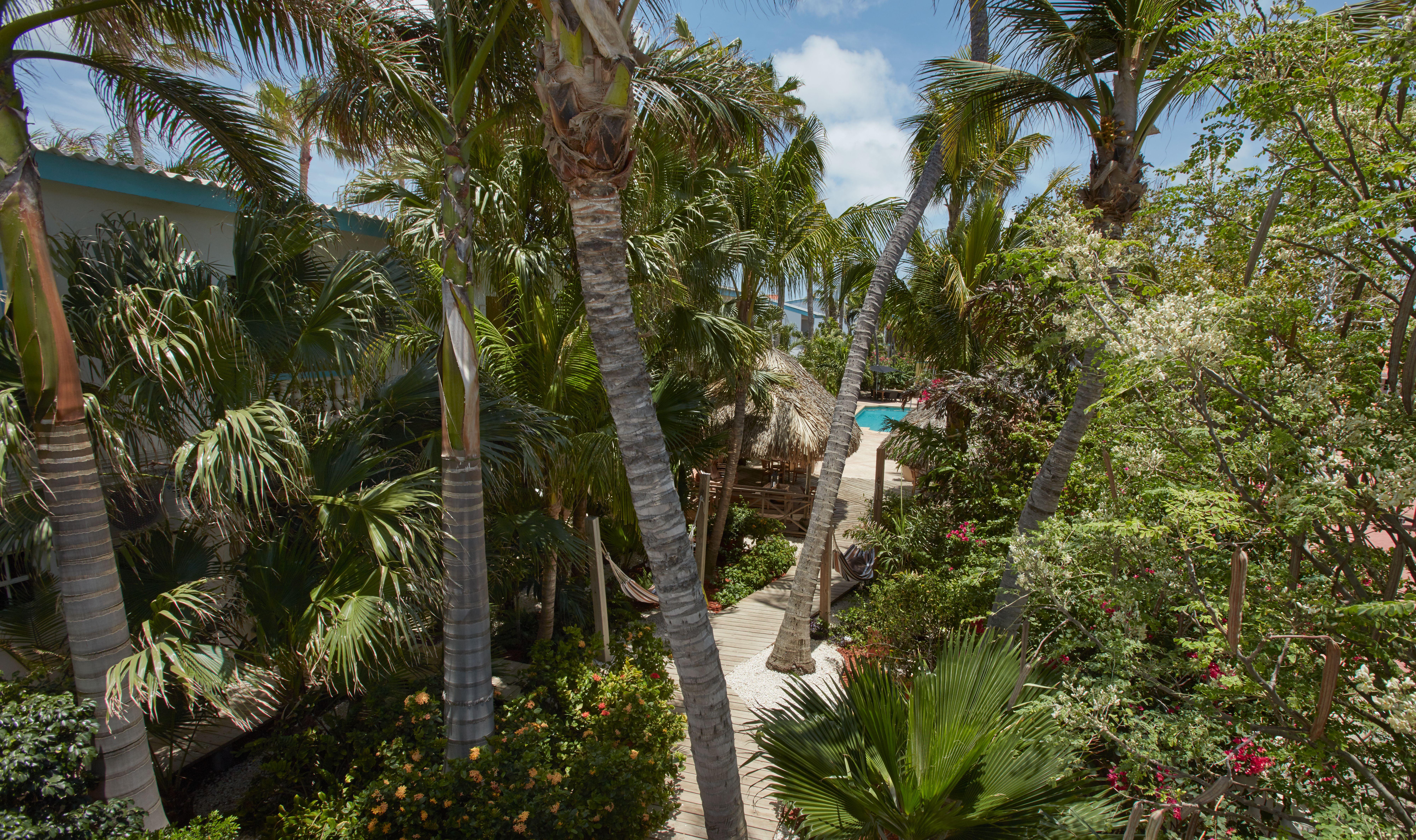 Paradera Park Aruba Oranjestad Dış mekan fotoğraf