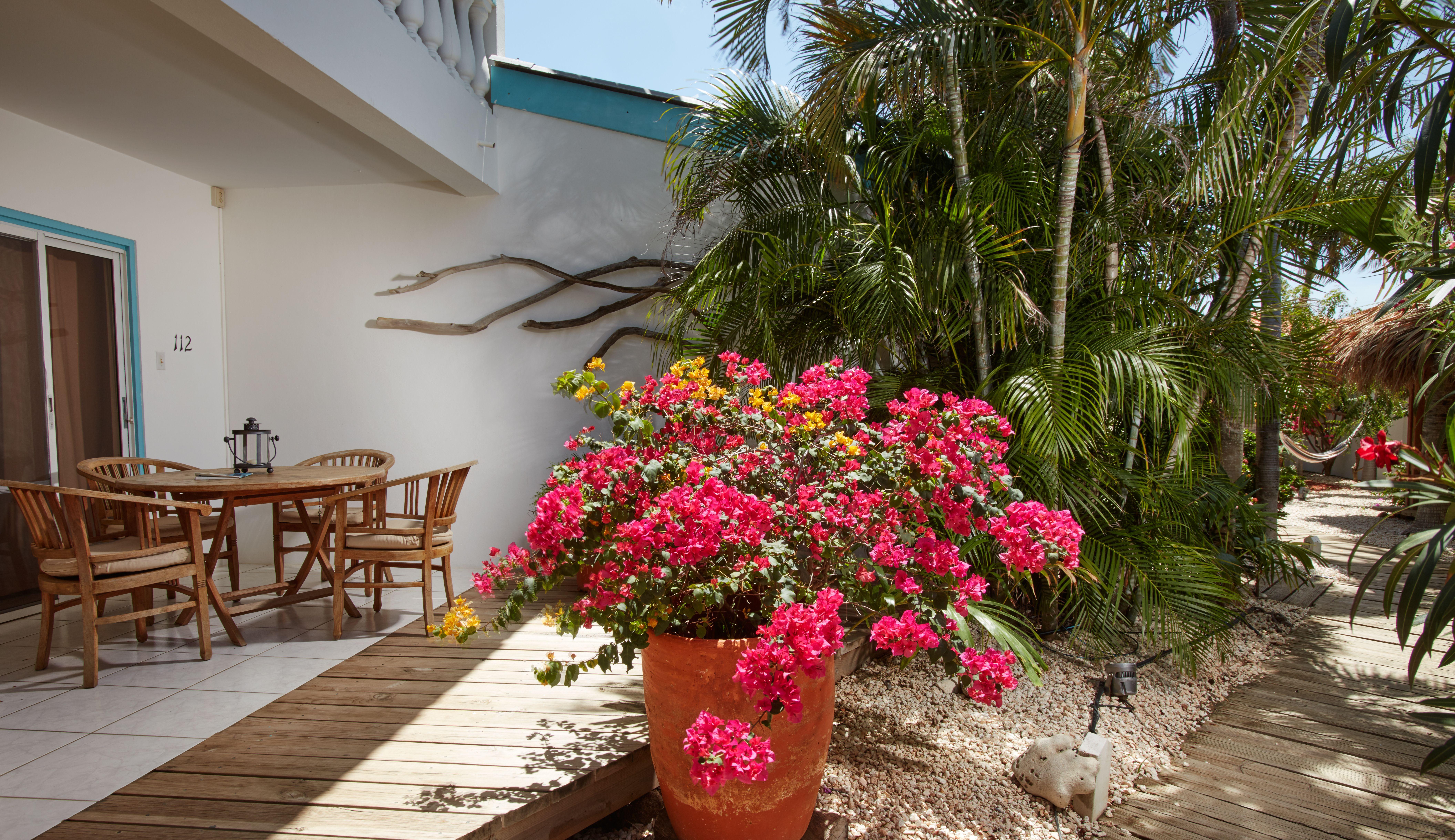 Paradera Park Aruba Oranjestad Dış mekan fotoğraf