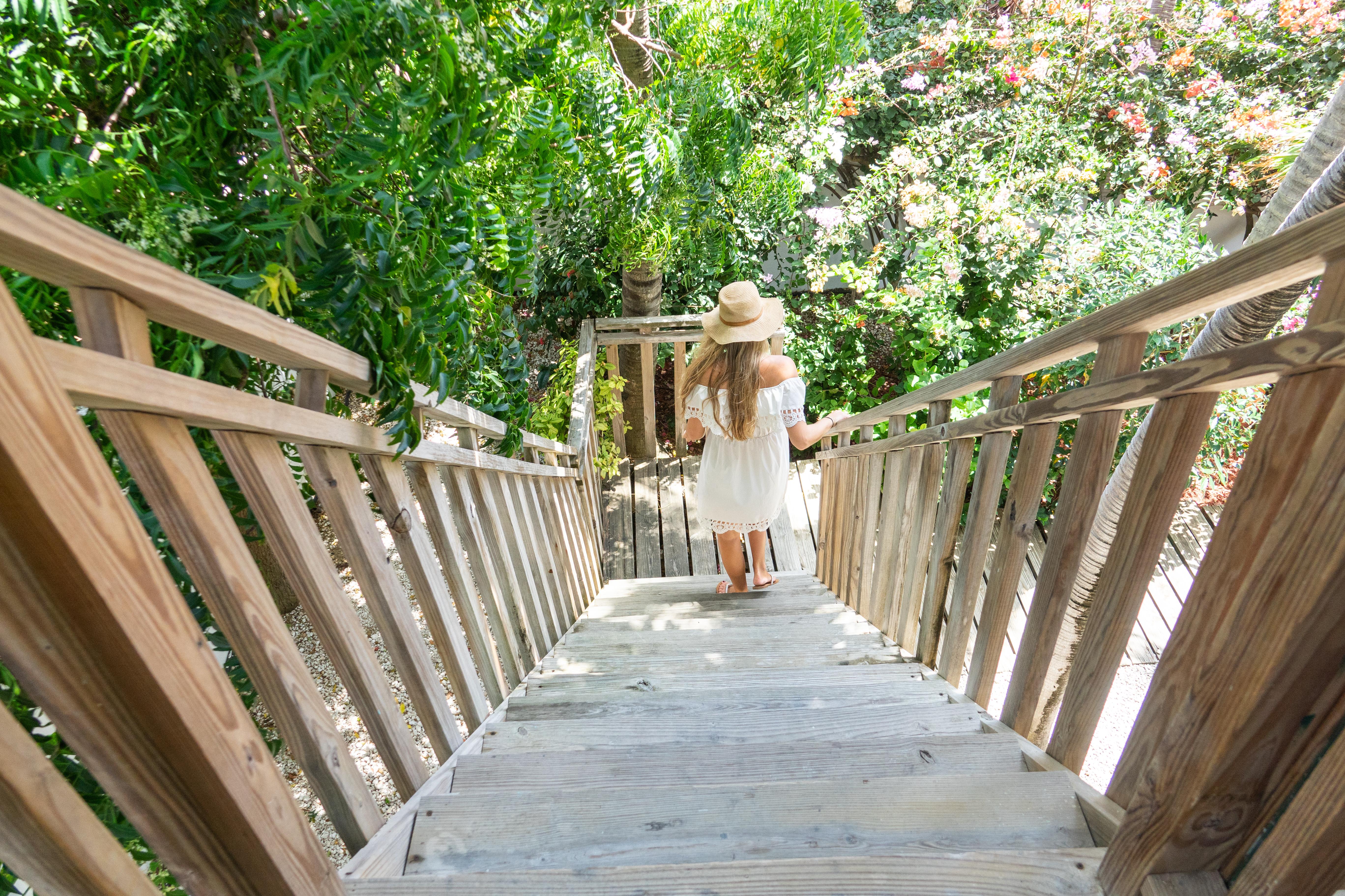 Paradera Park Aruba Oranjestad Dış mekan fotoğraf